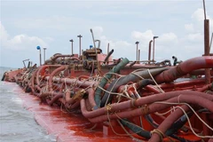 Ảnh minh họa. (Nguồn: TTXVN)