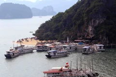 (Ảnh minh họa: Quang Quyết/TTXVN)