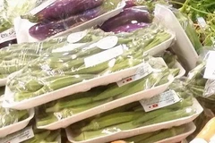 (Ảnh minh họa: Đỗ Phương Anh/TTXVN)