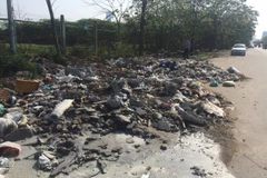 Rác thải bị đổ trộm tràn ra cả lòng đường tại Đại lộ Thăng Long. (Ảnh Mạnh Khánh/TTXVN)