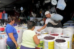 Người dân mua bán hàng hóa tại Managua, Nicaragua ngày 26/1. (Nguồn: AFP/TTXVN)