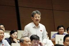 Đại biểu Quốc hội tỉnh Quảng Trị Đỗ Văn Sinh phát biểu. (Ảnh: Văn Điệp/TTXVN)