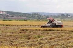 (Ảnh minh họa: Phạm Cường/TTXVN)