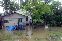 (Ảnh minh họa: Mạnh Linh/TTXVN)