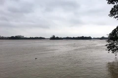 (Ảnh minh họa: Quốc Việt/TTXVN)