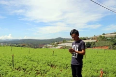 Chỉ cần dùng điện thoại di động, là có thể điều khiển hệ thống thiết bị tự động tưới nước cho khu vườn này theo chương trình đặt trước. (Ảnh: Chu Quốc Hùng/TTXVN)