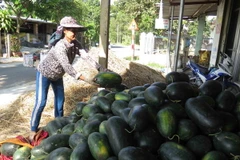 (Ảnh minh họa: Đỗ Trưởng/TTXVN)