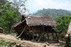 Mùa mưa năm 2017 nước ngập sát sàn nhà của hộ dân sát khe suối khiến cho ngôi nhà siêu vẹo có nguy cơ đổ sập bất cứ lúc nào. (Ảnh: Quý Trung/TTXVN)