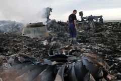 Hiện trường vụ máy bay MH17. (Nguồn: Reuters) 