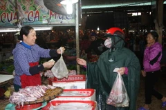 (Ảnh minh họa: Phan Quân/TTXVN)