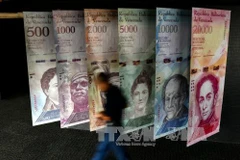Các tấm ápphích in hình đồng Bolivar của Venezuela. (Nguồn: AFP/TTXVN)
