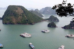 Tàu du lịch trên vịnh Hạ Long. (Ảnh: Quang Quyết/TTXVN)