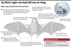 [Infographics] Sự thích nghi của loài dơi ma cà rồng hút máu