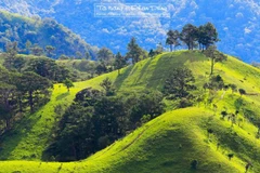 Tìm kiếm phượt thủ mất tích 5 ngày khi leo núi tại Bình Thuận