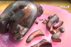 [Video] Tìm lại tượng phật Quan âm bị mất trộm ở Hưng Yên