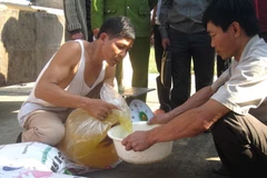 Kiển tra mỡ động vật chuyên chở trái phép. (Ảnh: Trịnh Duy Hưng/TTXVN)