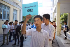  (Ảnh: Minh Sơn/Vietnam+)