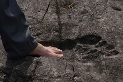 Dấu chân người khổng lồ hóa thạch được phát hiện ở làng Pingyan. (Nguồn: sputniknews.com)