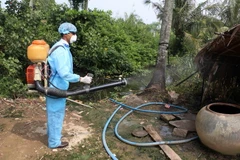 Phun thuốc diệt muỗi đề phòng dịch sốt xuất huyết. (Ảnh: Thanh Liêm/TTXVN)