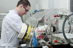 Các nhà khoa học Nga nghiên cứu thuốc chống ung thư từ các sắc tố của bọt biển. (Nguồn: DVFU)