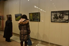 Khách tham quan tại triển lãm. (Ảnh:Tường Thu/TTXVN)