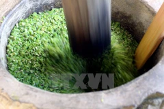 (Ảnh: Thế Duyệt/TTXVN)