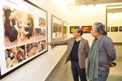 Ảnh minh họa. (Nguồn: TTXVN)