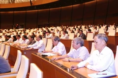 Đại biểu Quốc hội tại Kỳ họp thứ mười, Quốc hội khóa XIII. (Ảnh: Phương Hoa/TTXVN)