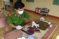 Lực lượng chức năng thử nghiệm loại hóa chất "hô biến" thịt bò thối thành thịt tươi tại cơ sở của bà Vân. (Ảnh: Đậu Tất Thành/TTXVN)