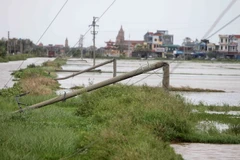 Bão số 1 quật đổ nhiều cột điện cao thế tại Nam Định, gây mất điện lưới nhiều khu vục trên địa bàn tỉnh. (Ảnh: Minh Quyết/TTXVN)