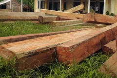 Ảnh minh họa. (Nguồn: TTXVN)