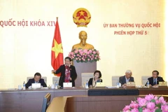 Phó Chủ tịch Quốc hội Tòng Thị Phóng phát biểu ý kiến. (Ảnh: Doãn Tấn/TTXVN)