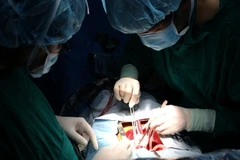 Ảnh minh họa. (Nguồn: TTXVN)