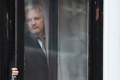 Ông Julian Assange tại Đại sứ quán Ecuador ở London, Anh ngày 5/2/2016. (Nguồn: AFP/TTXVN)