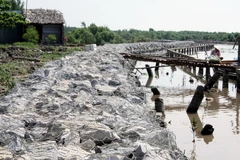 Một đoạn đê ở cửa biển Khánh Hội ( huyện U Minh ) được kè rọ đá. (Ảnh: Lê Huy Hải/TTXVN)