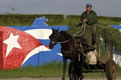 Ảnh minh họa. (Nguồn: Reuters)