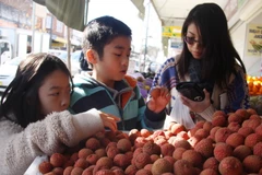 Trái vải Việt Nam bày bán tại Australia. (Ảnh: Sao Băng/TTXVN)