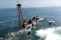 [Video] Thực hư việc tàu thanh tra đâm chìm tàu ngư dân ở Thanh Hóa