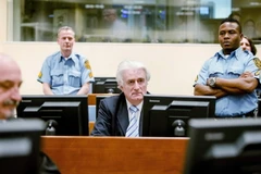 Tòa án ICTY kết án cựu thủ lĩnh người Serbia tại Bosnia Radovan Karadzic 40 năm tù giam. (Nguồn: AFP/TTXVN)