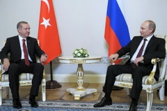 Tổng thống Nga Vladimir Putin (phải) có cuộc gặp với Thủ tướng Thổ Nhĩ Kỳ Recep Tayyip Erdogan trong chuyến thăm Nga hồi tháng 11/2013. (Nguồn: AFP/TTXVN).
