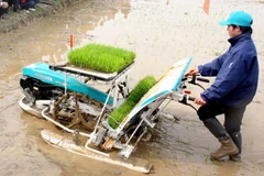 Thử nghiệm máy cấy lúa Kubota SPW-48C. (Ảnh: Đình Huệ/TTXVN)