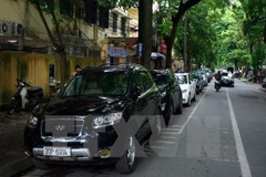 Ảnh minh họa. (Nguồn: TTXVN)