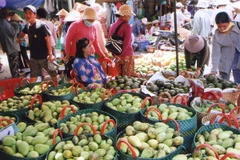 Ảnh minh họa. (Nguồn: TTXVN)