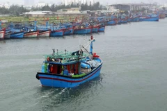 Ảnh minh họa. (Nguồn: TTXVN)