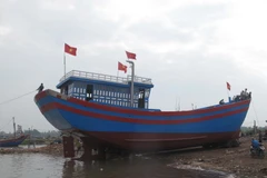 Ảnh minh họa. (Nguồn: TTXVN)