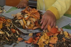 Ảnh chỉ có tính minh họa. (Nguồn: TTXVN)