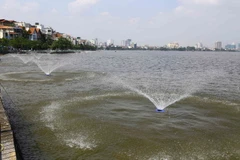 Hàng loạt thiết bị chuyên dụng được lắp đặt để tăng cường lượng oxy cho hồ Tây. (Ảnh: Minh Quyết/TTXVN)