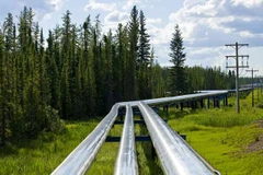 Ảnh minh họa. (Nguồn: business.financialpost.com)