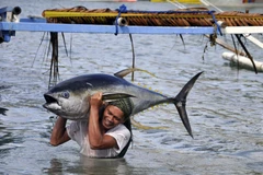 Ngư dân Philippines. (Ảnh chỉ mang tính minh họa: thecoraltriangle.com)