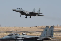 Máy bay chiến đấu F-15. (NguoonfL AFP/TTXVN)